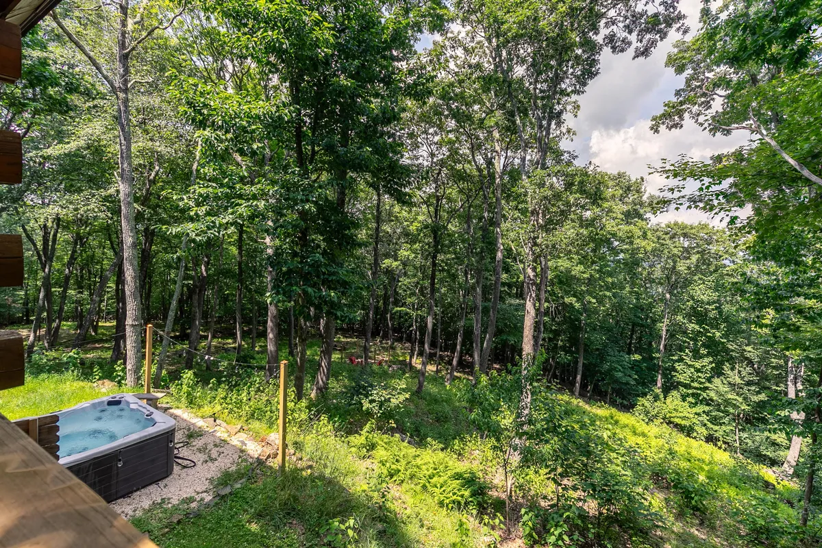 A bubbling hot tub nestled among dense trees and lush greenery, with the focus on the natural setting. The scene evokes the tranquility of stargazing or sharing a morning coffee outdoors, offering a taste of the mountain environment.